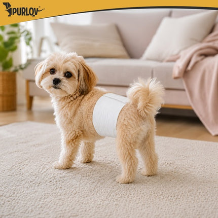 Dog Diapers SM, Absorbent, 12 Pack, 30-46 cm