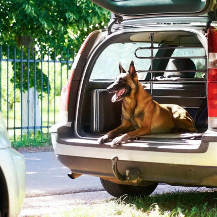 Dog Guard Car