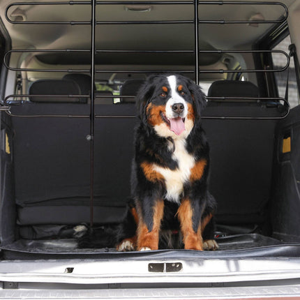Dog Guard Car