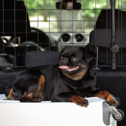 Dog Guard for Car – Adjustable Pet Barrier