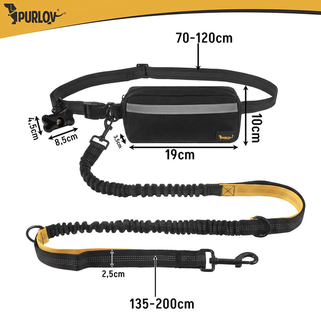 Dog Running Waist Belt with Leash, Cushioned, Reflective