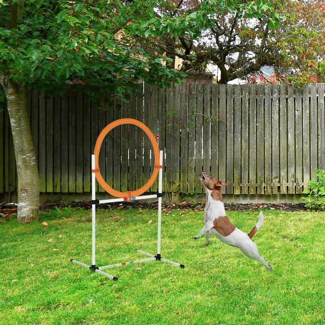 Dog Agility Training Jump Ring, Portable, White/Orange
