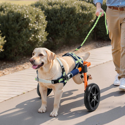 Dog Wheelchair for Back Legs, Adjustable 2-Wheel, 35–48 lb