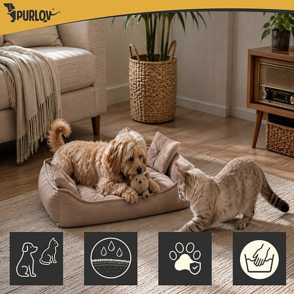 Dog and Cat Bed 70 x 50 cm with Raised Sides and 2 Pillows, Beige