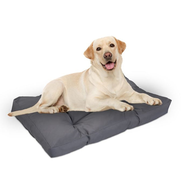 Dog bed gray