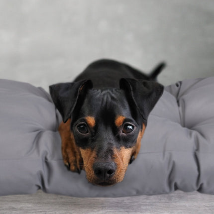 Dog bed gray