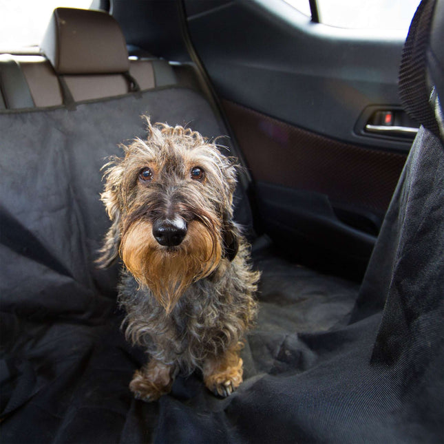 Dog blanket car