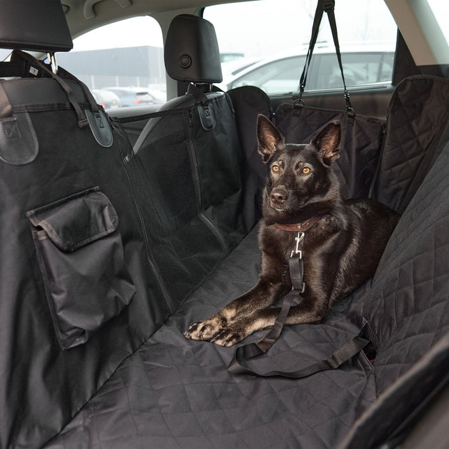 Dog blanket the back seat in the car