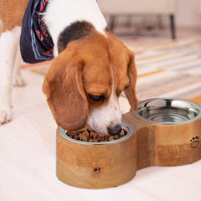 Dog bowl bar with 2 bowls