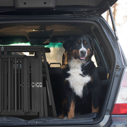 Dog box Car with partition