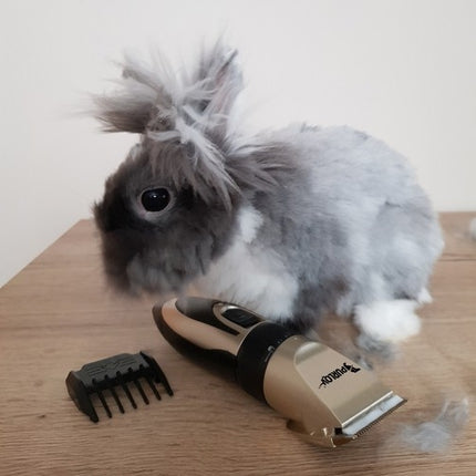 Dog clipper - set