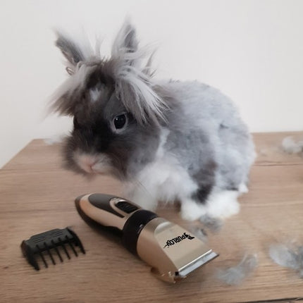 Dog clipper - set