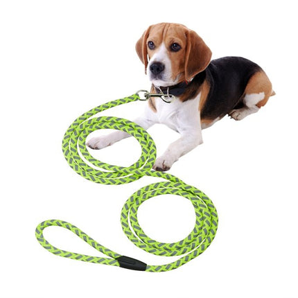 Dog leash 2.50 m