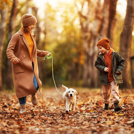 Dog leash 2.50 m