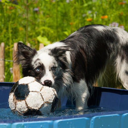 Dog pool 120x30 cm