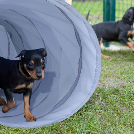 Dog tunnel agility 2m