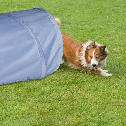 Dog tunnel agility 3m