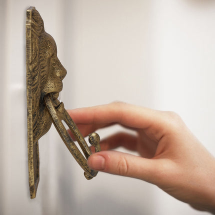 Door knocker lion