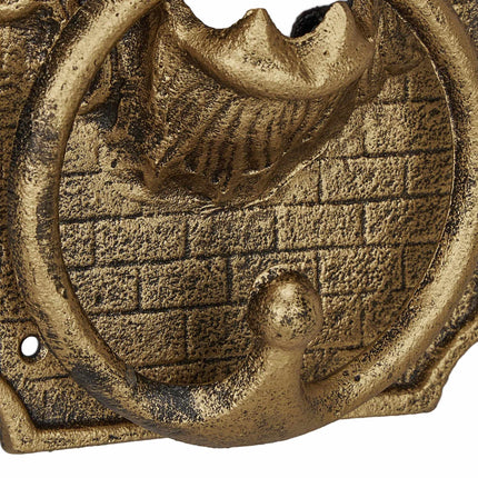 Door knocker lion