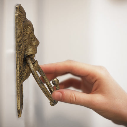 Door knocker lion