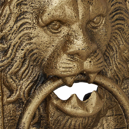 Door knocker lion