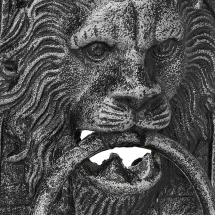 Door knocker lion