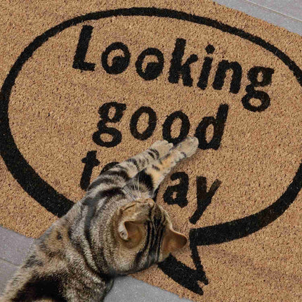 Doormat Coconut "Looking good today