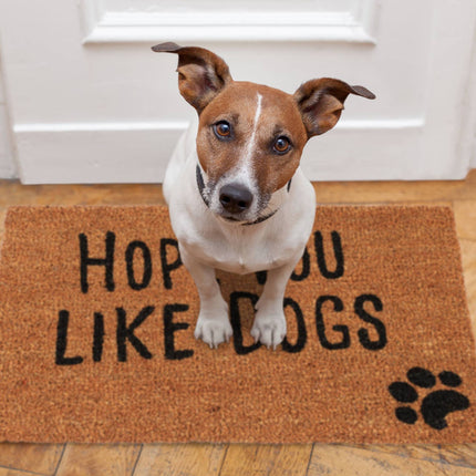 Door mat coconut fiber "Hope you like..."