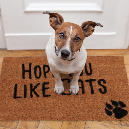 Door mat coconut fiber "Hope you like..."