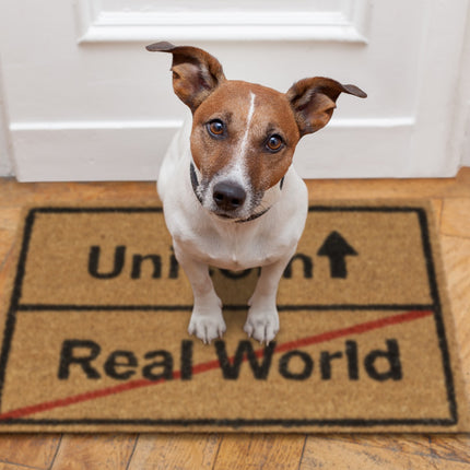 Door mat coconut fiber Unicorn/Real World
