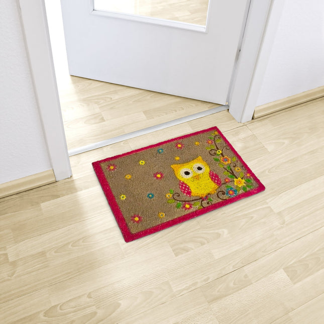 Doormat coconut fiber with owl 40x60 cm