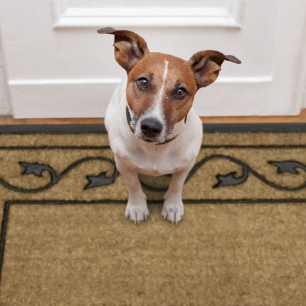 Door mat large