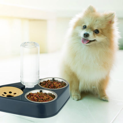 Double Bowl Pet Feeder with Water Dispenser