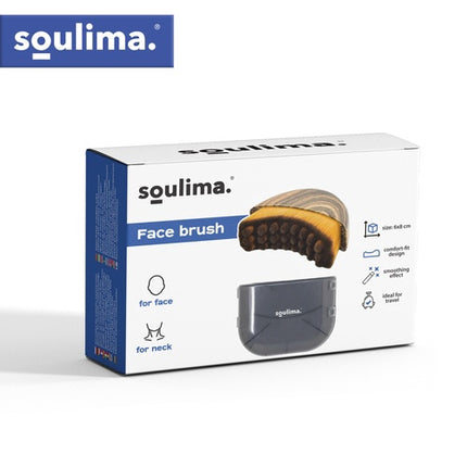 Dry Face and Neck Massage Brush with Nylon Bristles