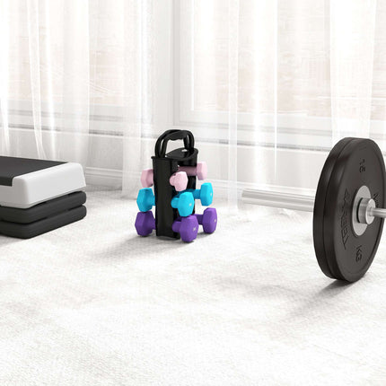 Dumbbell Set with Rack, 6 Weights: 1kg, 2kg, 3kg