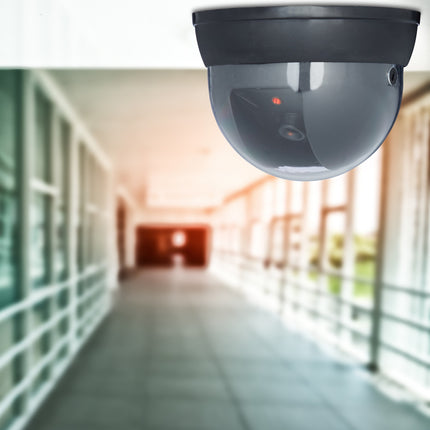Dummy camera dome