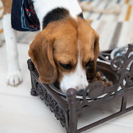 Edible cast iron for dogs