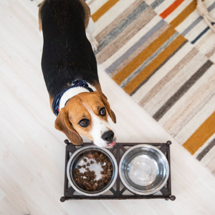 Edible cast iron for dogs