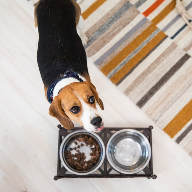 Edible cast iron for dogs
