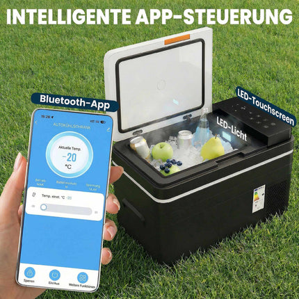 Electric Cooler Box 30L, -20C to 20C, App Control
