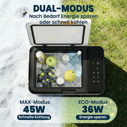 Electric Cooler Box 30L, -20C to 20C, App Control