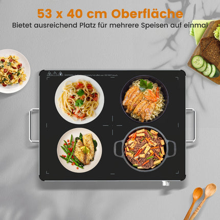 Electric Warming Tray, Adjustable Temp, 53x40 cm