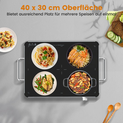 Electric Warming Tray with Adjustable Temperature, 53x40 cm