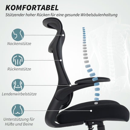 Ergonomic Office Chair, 3D Armrests, Mesh Back, Black