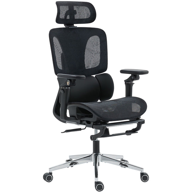 Ergonomic Office Chair, Adjustable Lumbar & Headrest, Black Mesh