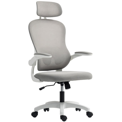 Ergonomic Office Chair, Mesh Back, Adjustable, Gray