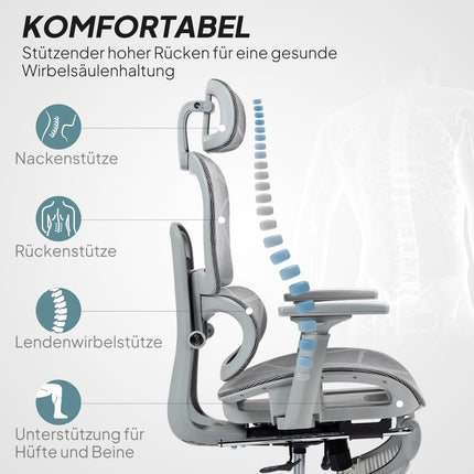 Ergonomic Office Chair with Footrest, Reclining Backrest