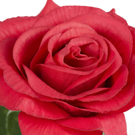 Eternal rose in glass with candle