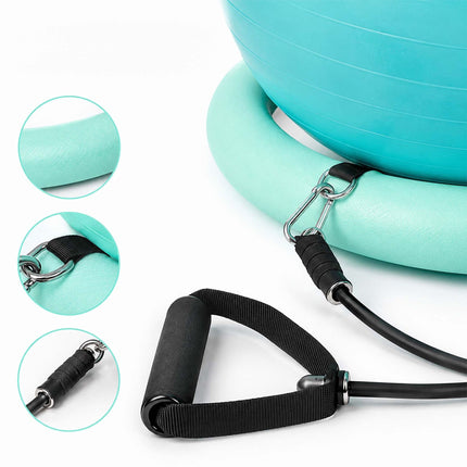 Exercise Ball 65 cm with Stand, Resistance Bands and Pump, Pink