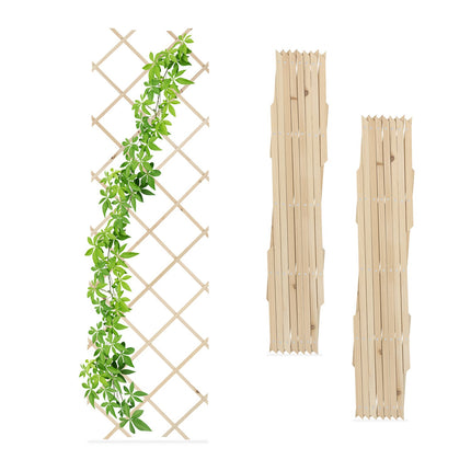 Extendable Plant Trellis Set, 180x60 cm, 3 Pack